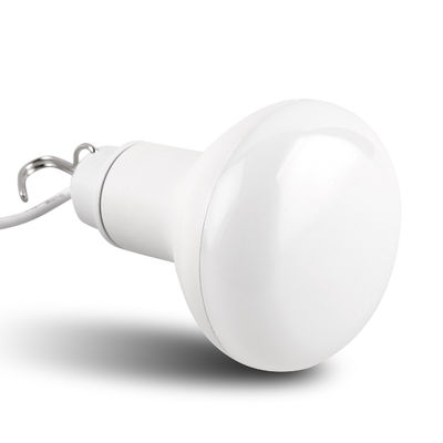 10W Outdoor Patio Light Bulbs 5V LED Garden Light Bulbs USB Interface